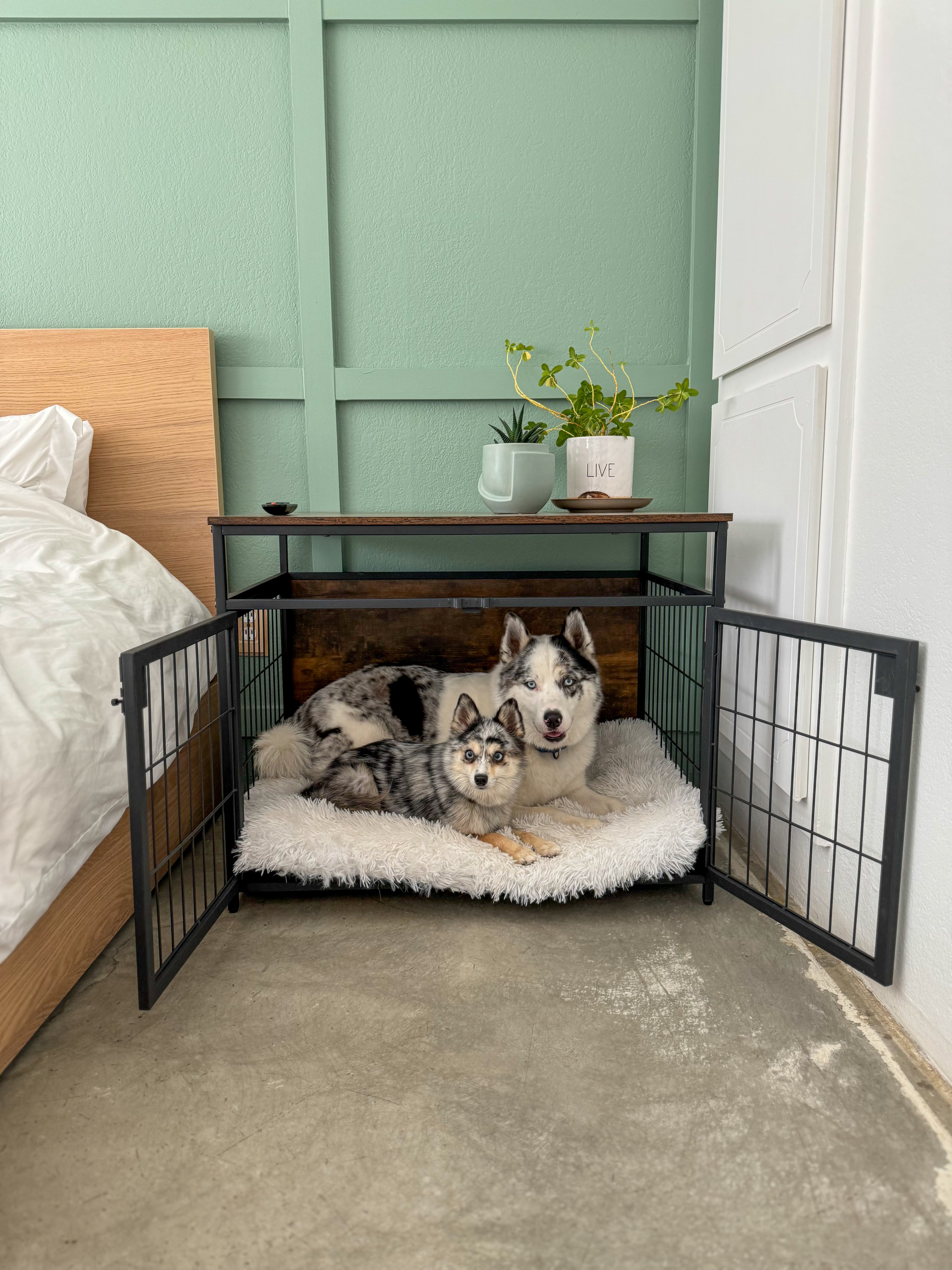 Should dog crate outlet be in bedroom