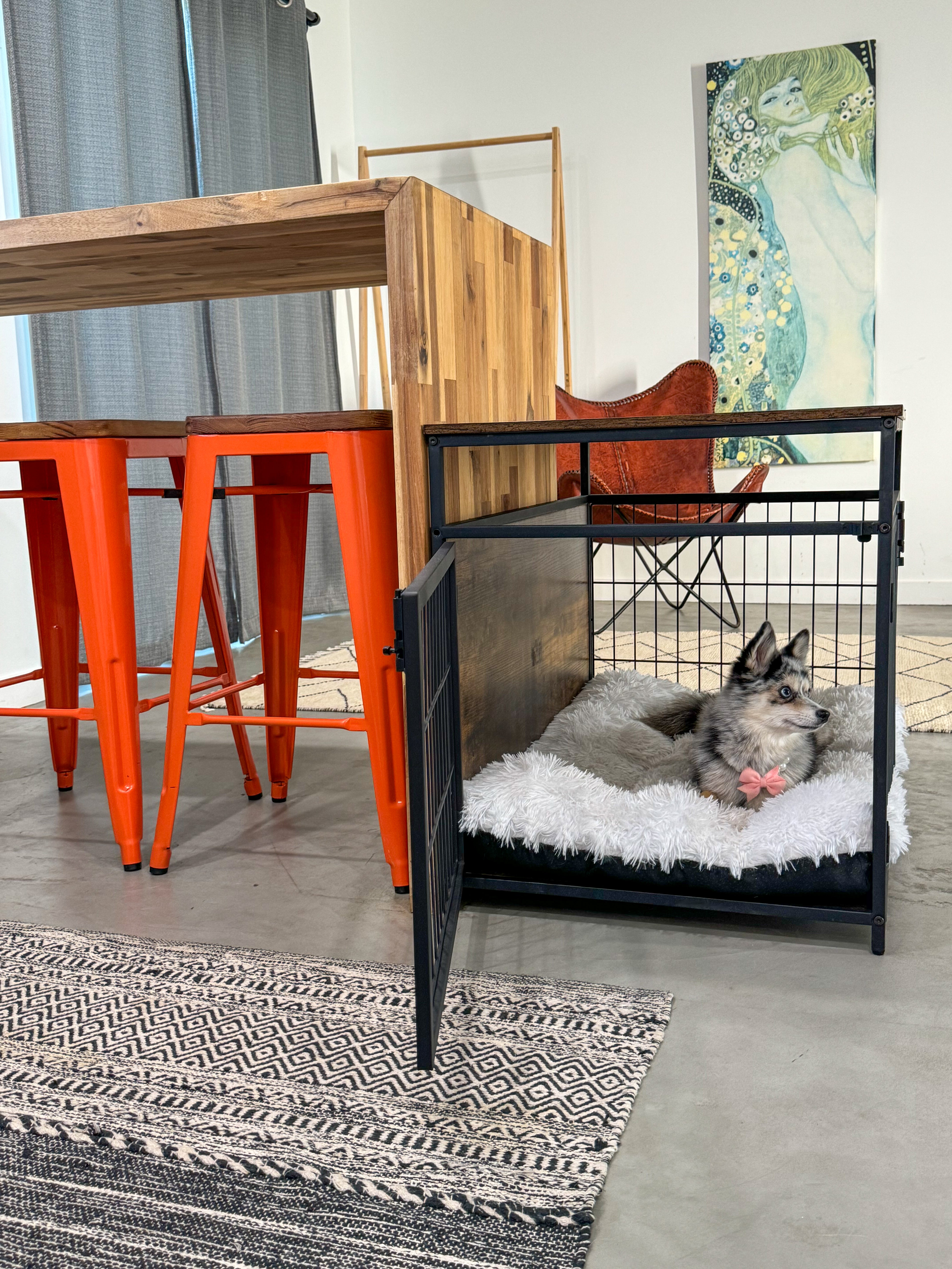 Kooldog modern best sale dog crates